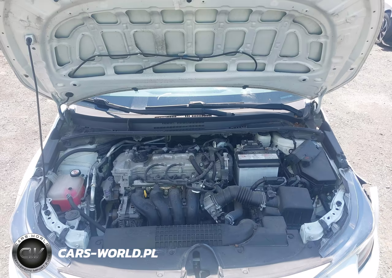 2020 Toyota Corolla Le VIN:5YFEPRAE2LP123289 - 10