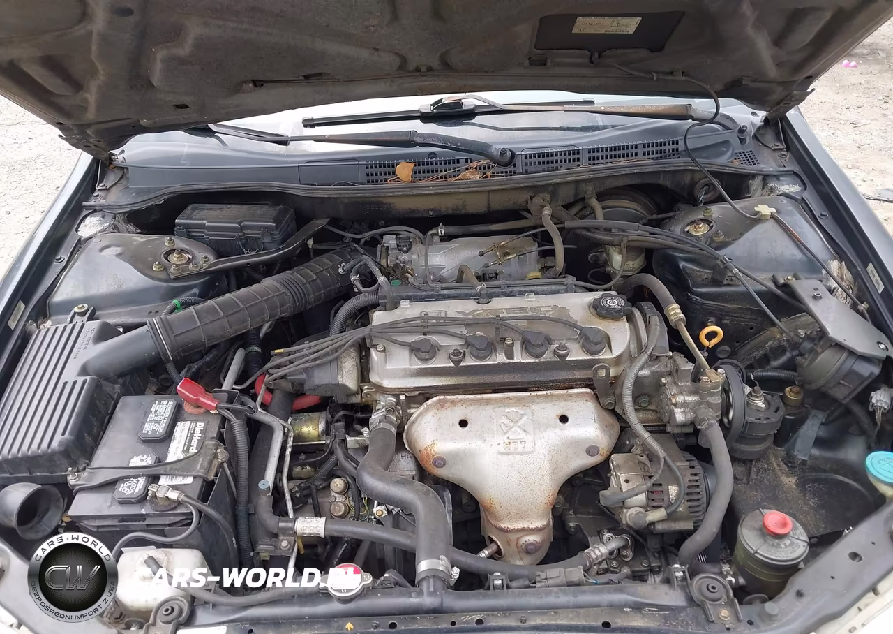 1998 Honda Accord Lx VIN:1HGCG5649WA215297 - 10