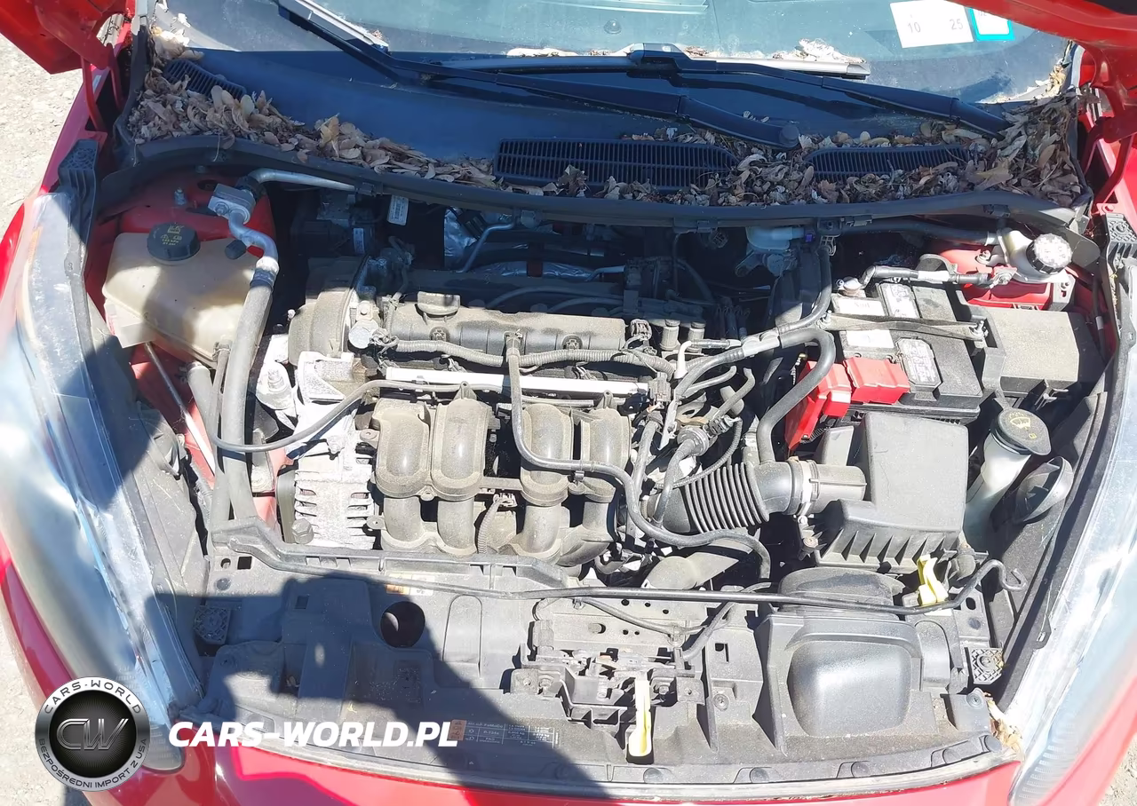 2015 Ford Fiesta Se VIN:3FADP4BJ8FM213154 - 10