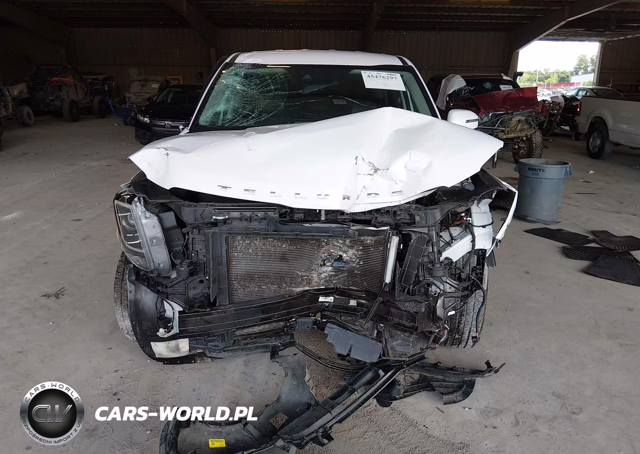2022 Kia Telluride Lx VIN:5XYP2DHC6NG205452 - 13