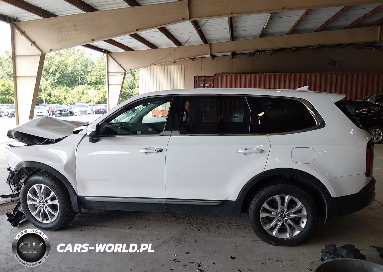 2022 Kia Telluride Lx VIN:5XYP2DHC6NG205452 - 15