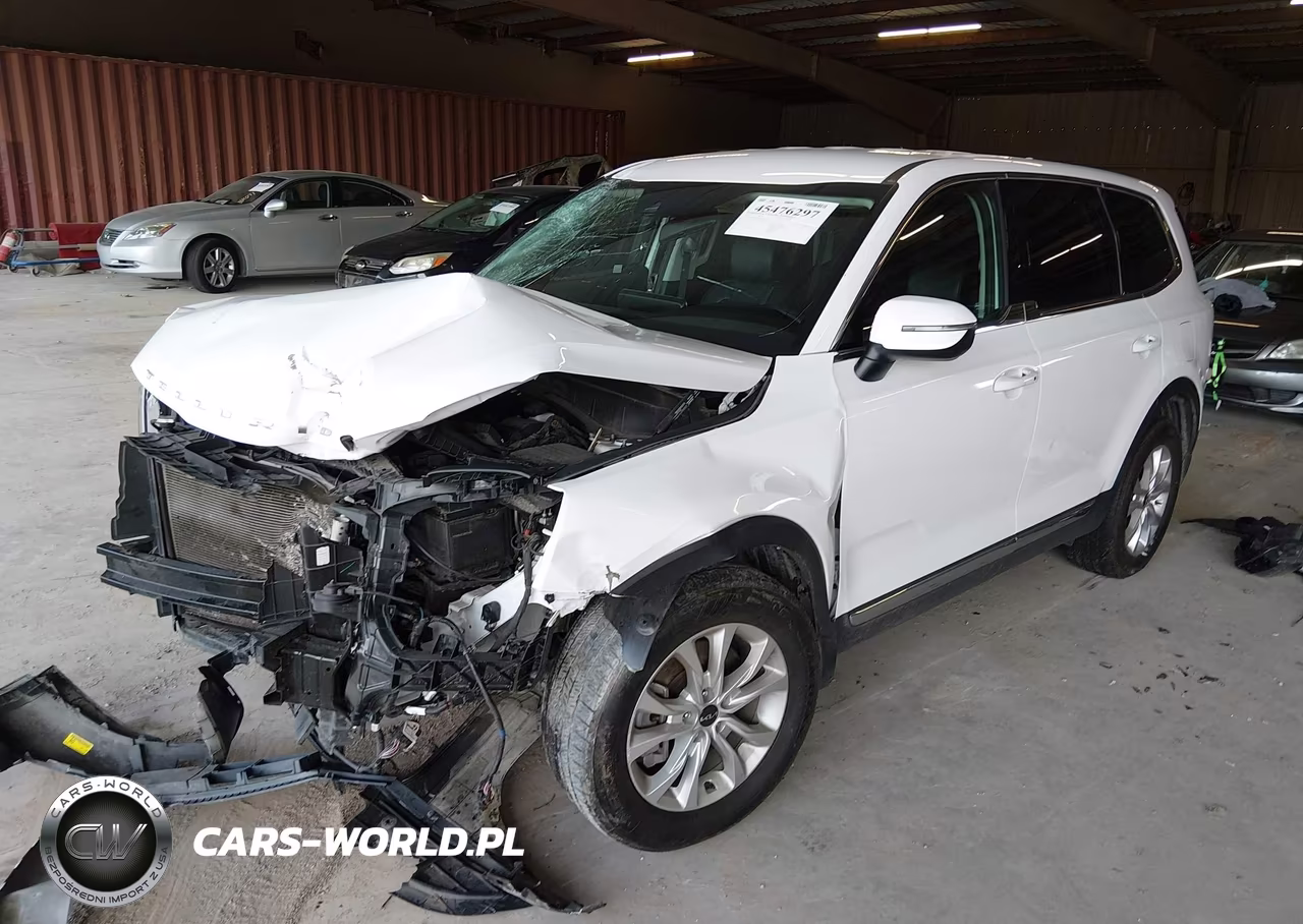 2022 Kia Telluride Lx VIN:5XYP2DHC6NG205452 - 2