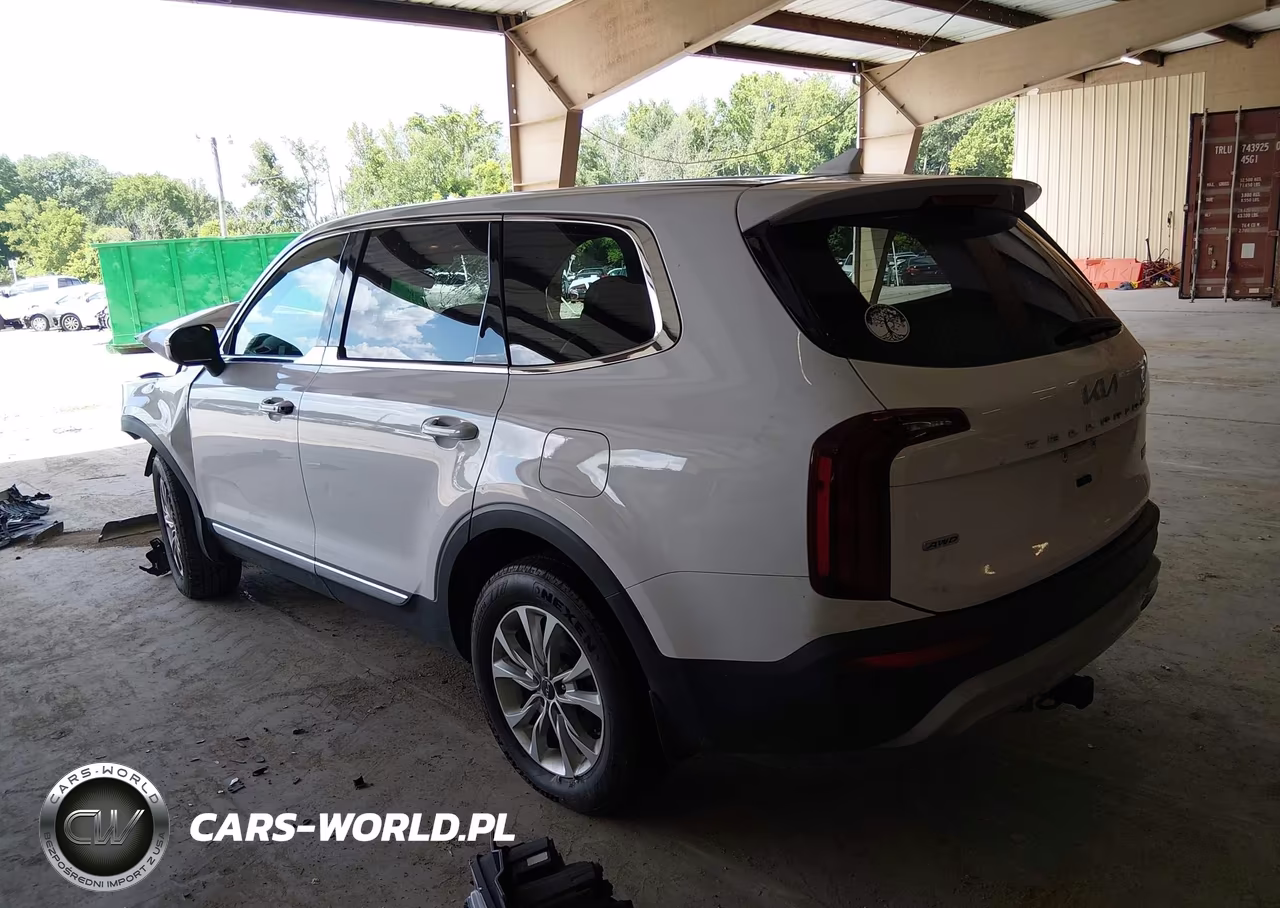2022 Kia Telluride Lx VIN:5XYP2DHC6NG205452 - 3