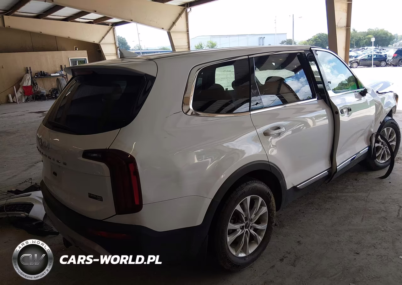 2022 Kia Telluride Lx VIN:5XYP2DHC6NG205452 - 4
