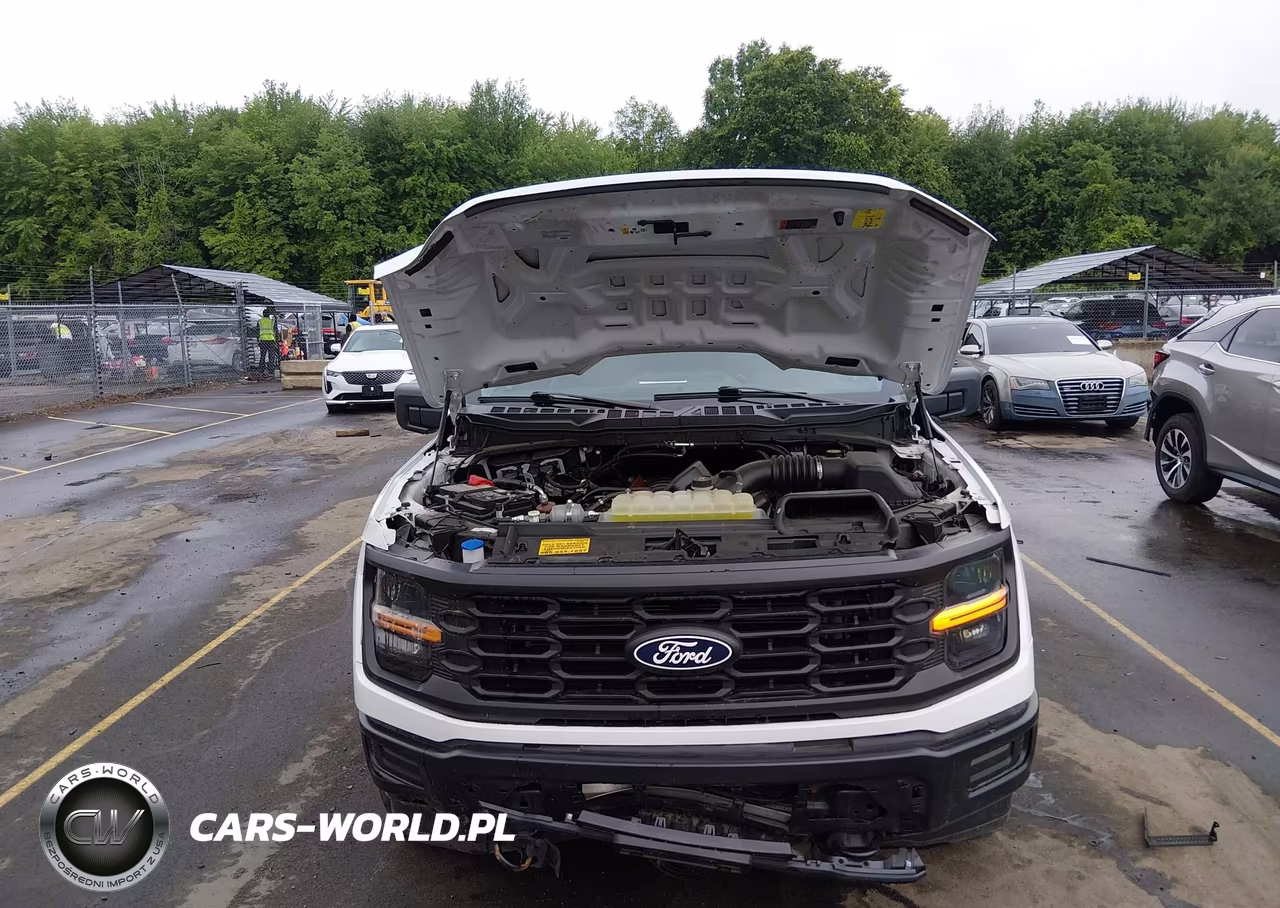 2024 Ford F-150 Xl VIN:1FTFX1L54RKE84159 - 10