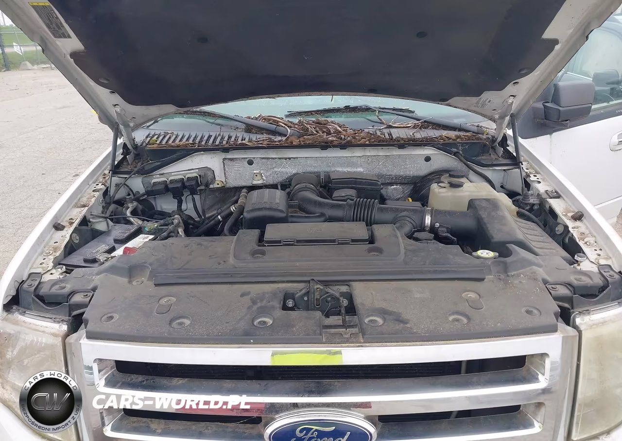 2009 Ford Expedition Xlt VIN:1FMFU165X9EA71404 - 10