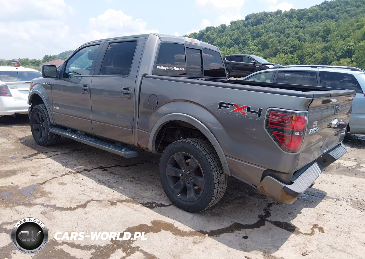 2011 Ford F-150 Fx4-King Ranch-Lariat-Platinum-Xlt VIN:1FTFW1ET6BFB34870 - 3