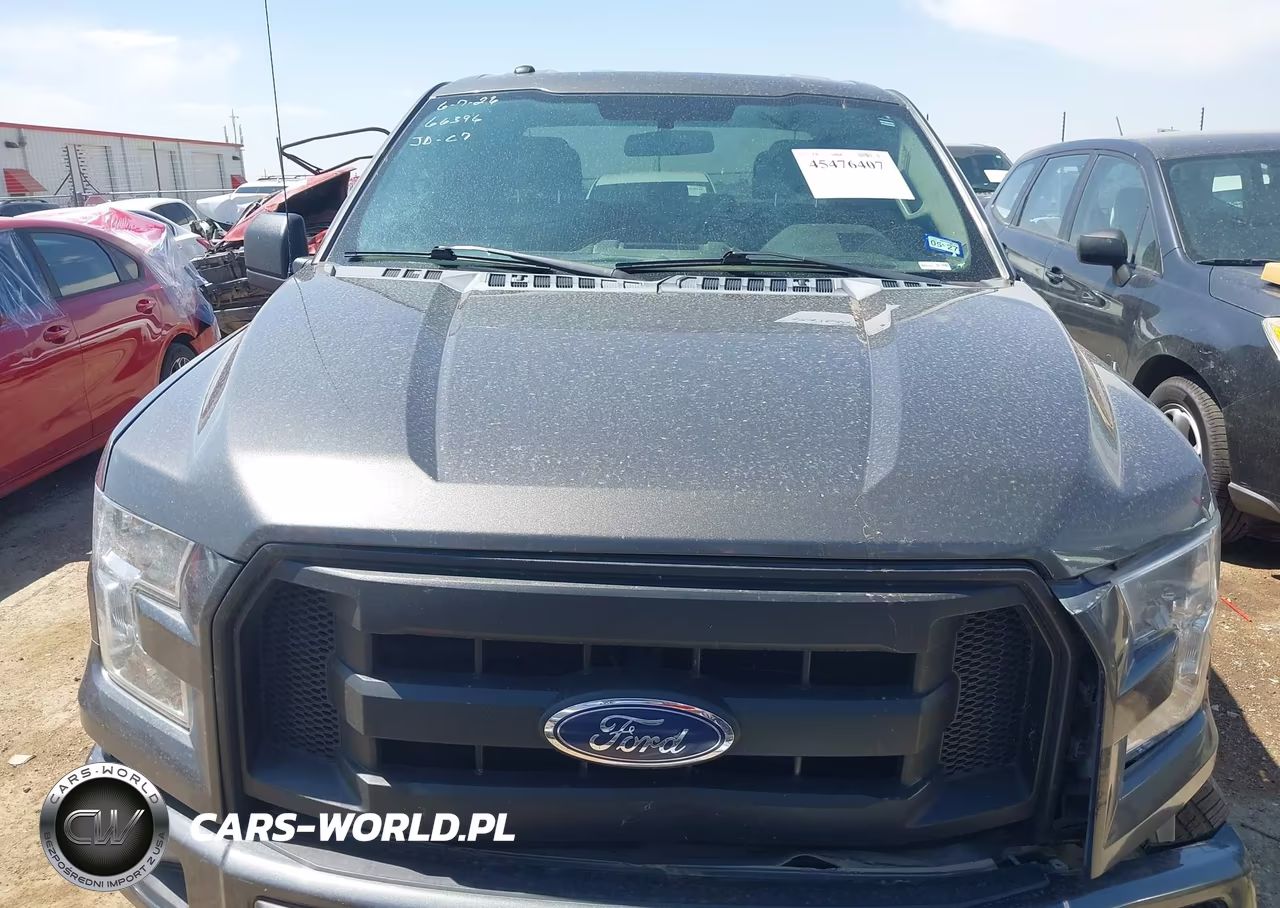 2016 Ford F-150 Lariat-Xl-Xlt VIN:1FTEX1CP6GKF96195 - 13