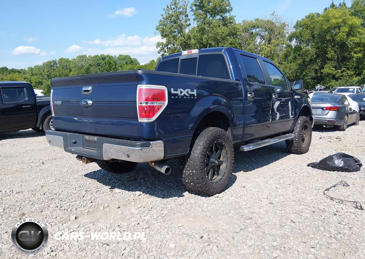 2014 Ford F-150 Fx4-King Ranch-Lariat-Limited-Platinum-Xl-Xlt VIN:1FTFW1ET8EFC14854 - 4