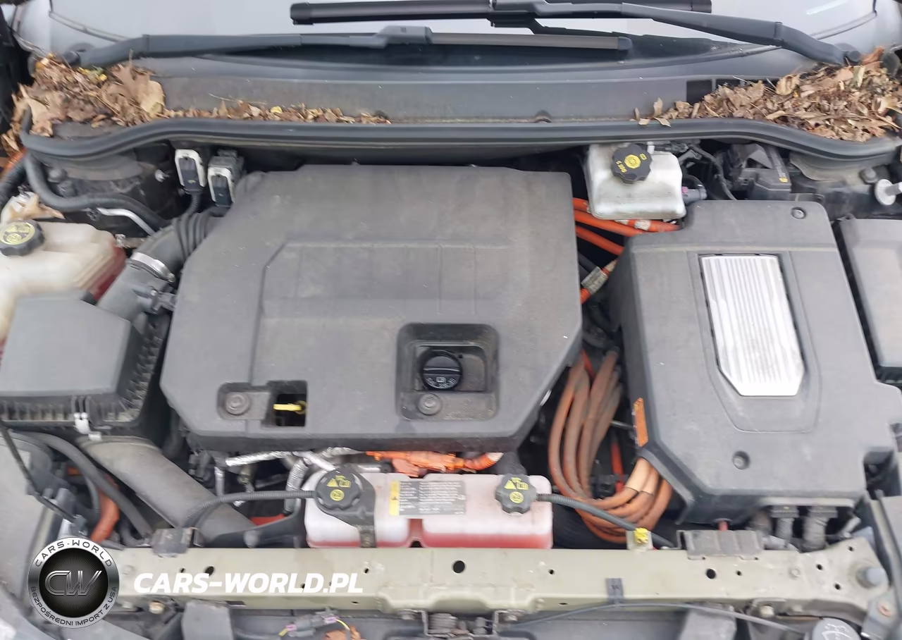2013 Chevrolet Volt VIN:1G1RD6E41DU106877 - 10
