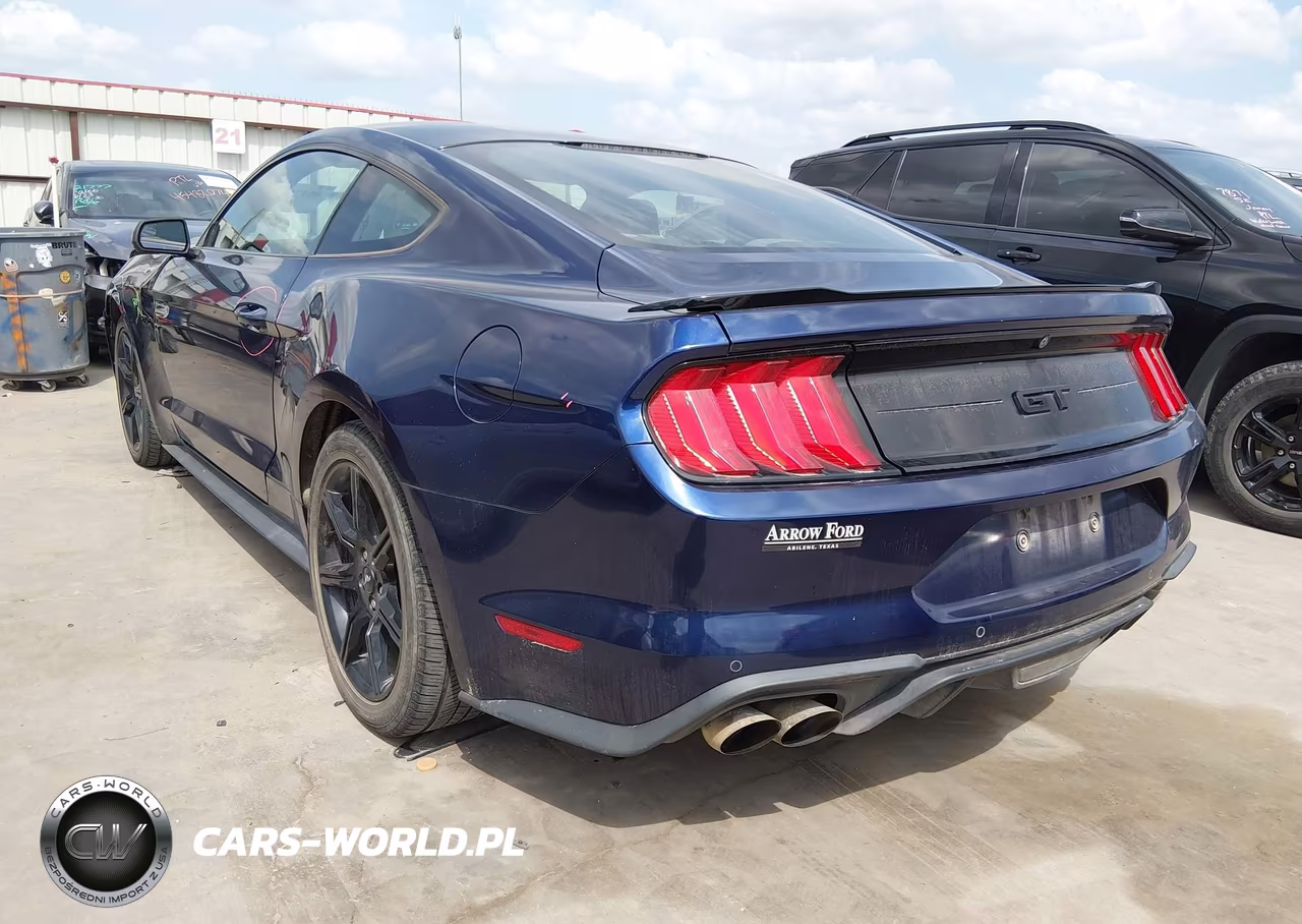 2018 Ford Mustang Gt-Gt Premium VIN:1FA6P8CF4J5108359 - 3