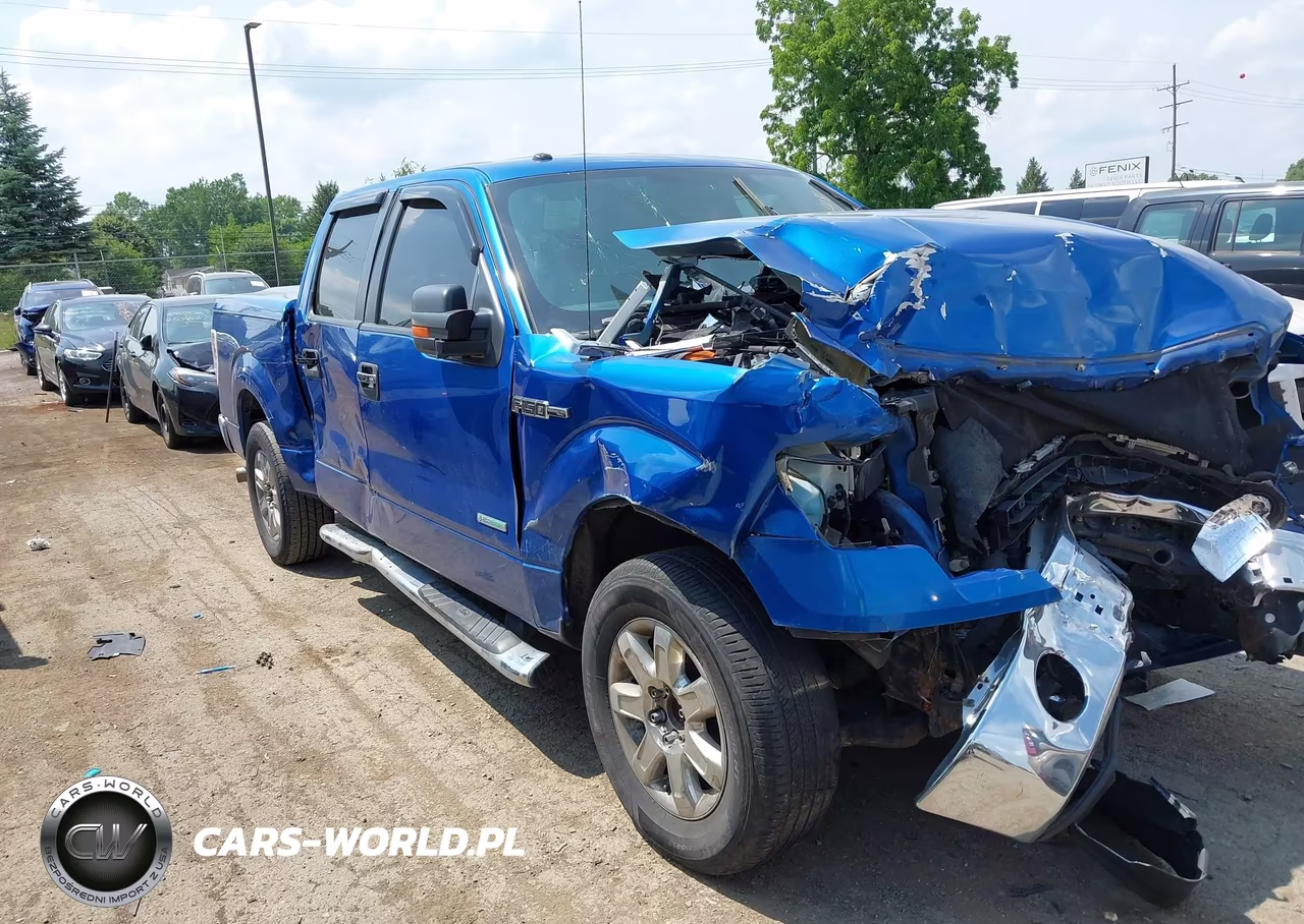 2013 Ford F-150 VIN:1FTFW1CT4DKF57265 - 13