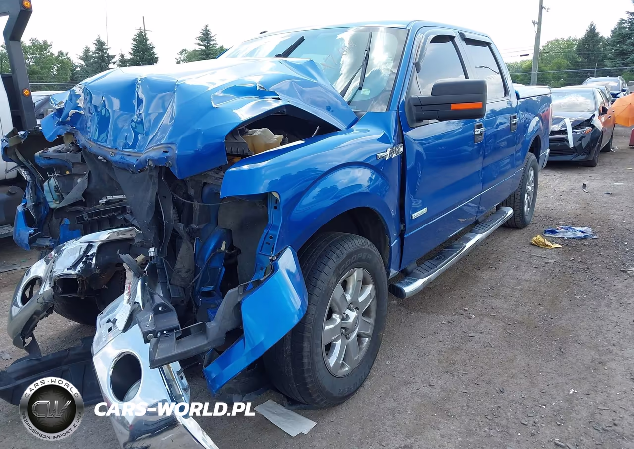 2013 Ford F-150 VIN:1FTFW1CT4DKF57265 - 17
