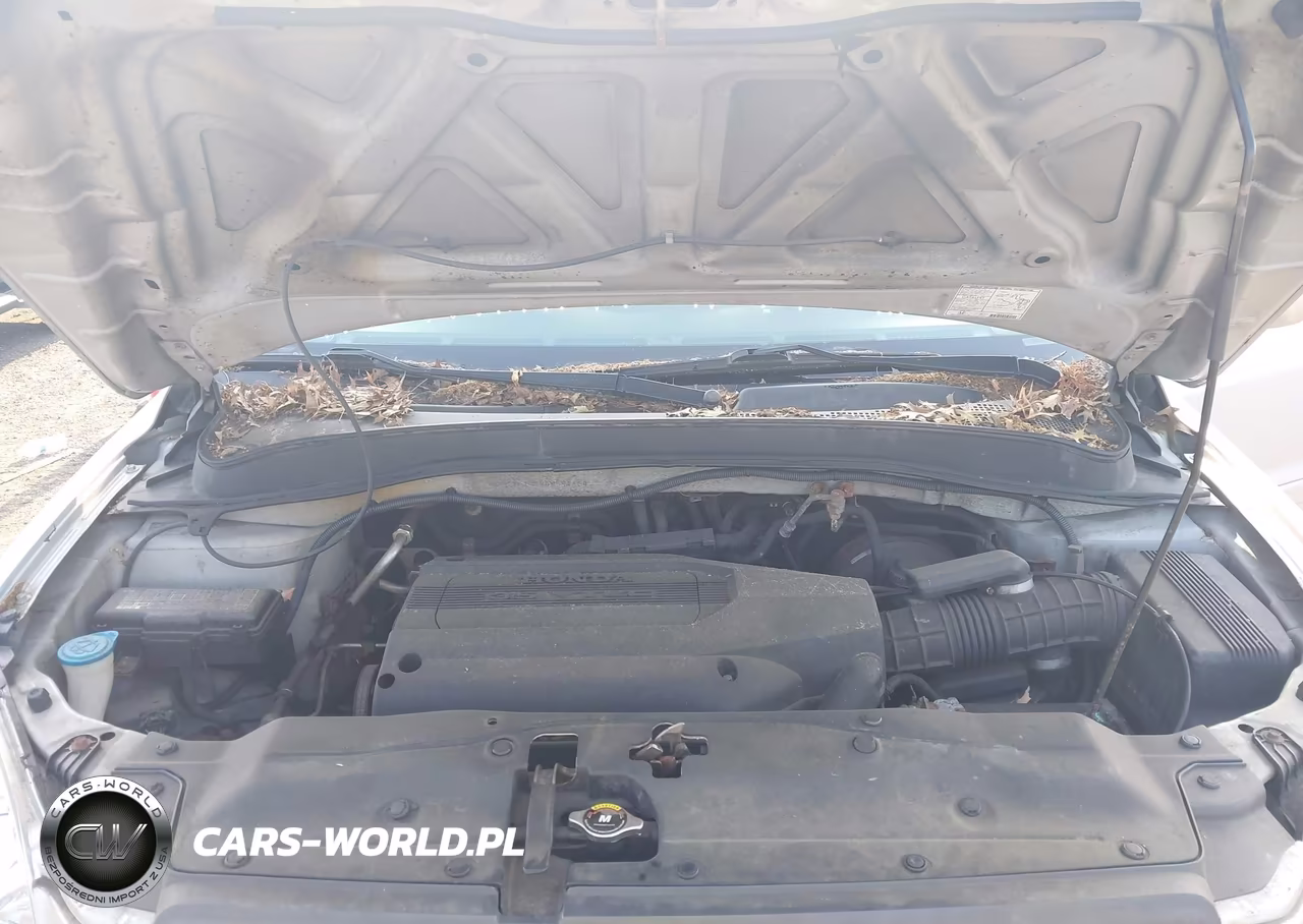 2004 Honda Pilot Ex-L VIN:2HKYF18794H597134 - 10