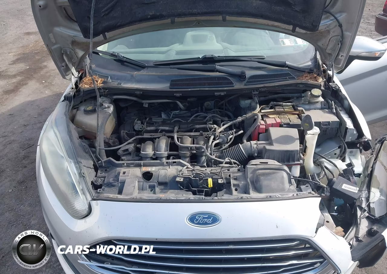 2015 Ford Fiesta Se VIN:3FADP4EJ3FM208908 - 10