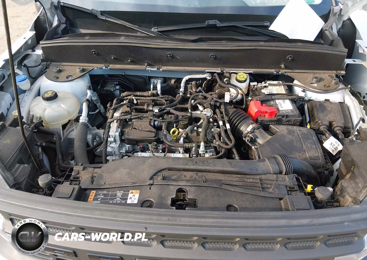 2021 Ford Bronco Sport VIN:3FMCR9A63MRB30415 - 10