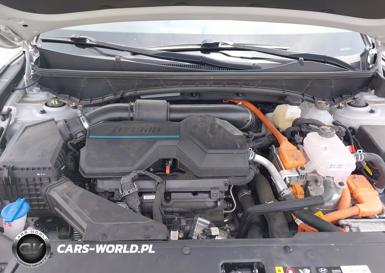 2025 Hyundai Tucson Hybrid Blue VIN:KM8JBDD17SU316317 - 10