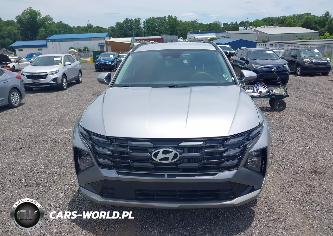 2025 Hyundai Tucson Hybrid Blue VIN:KM8JBDD17SU316317 - 12