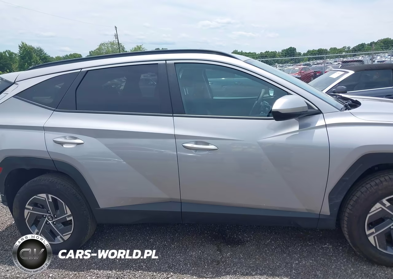 2025 Hyundai Tucson Hybrid Blue VIN:KM8JBDD17SU316317 - 13