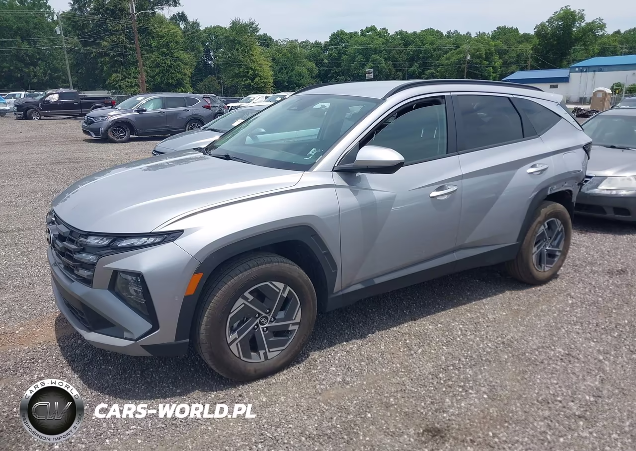 2025 Hyundai Tucson Hybrid Blue VIN:KM8JBDD17SU316317 - 2