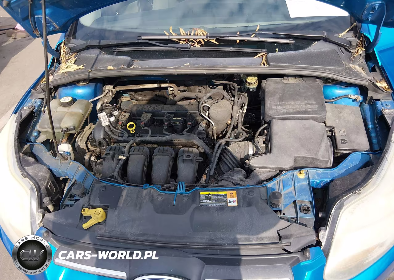 2013 Ford Focus Se VIN:1FADP3K26DL168054 - 10