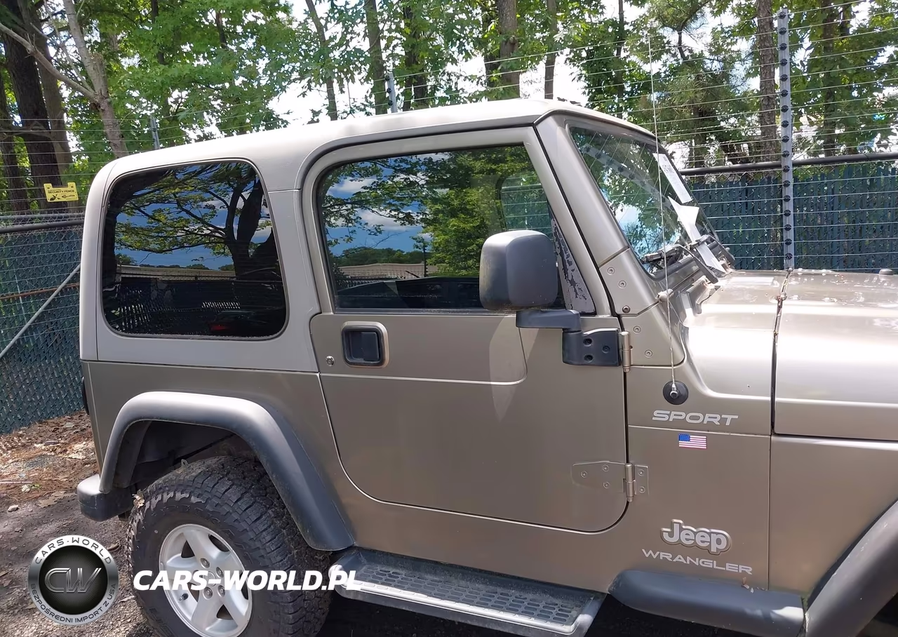 2003 Jeep Wrangler Sport VIN:1J4FA49S33P332653 - 13