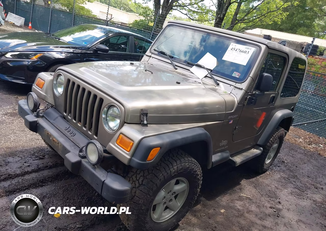 2003 Jeep Wrangler Sport VIN:1J4FA49S33P332653 - 2