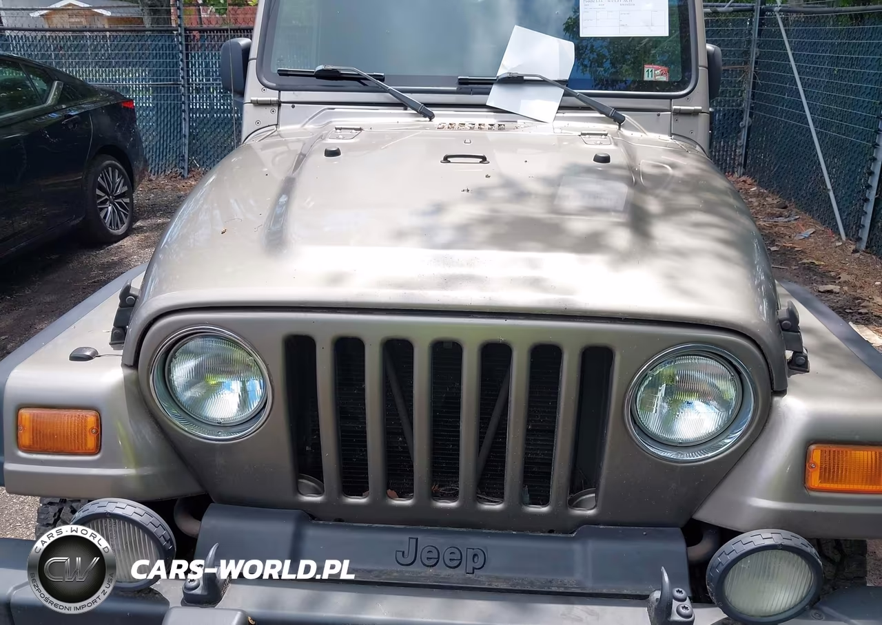 2003 Jeep Wrangler Sport VIN:1J4FA49S33P332653 - 6