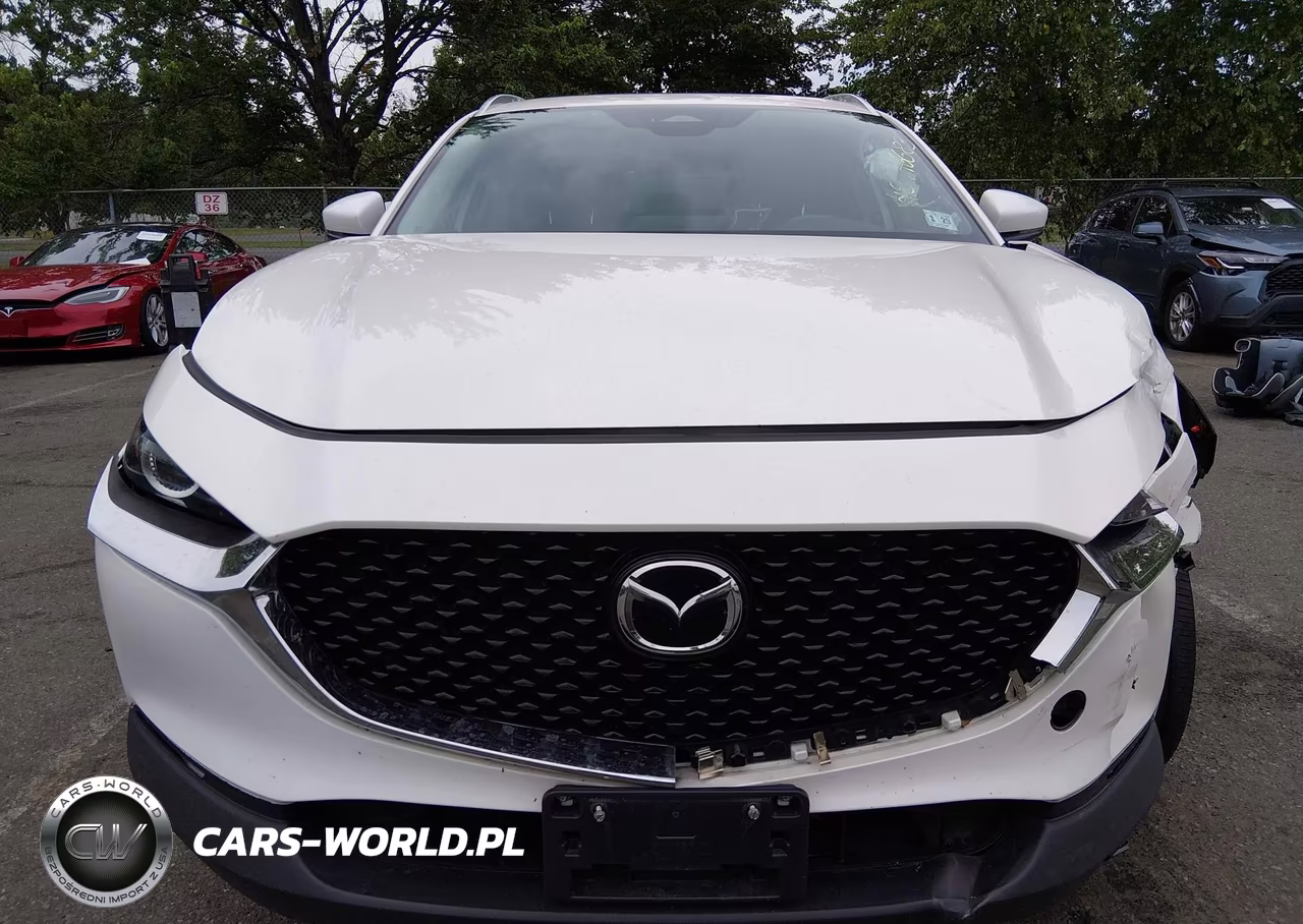 2024 Mazda Cx-30 2.5 S Preferred Package VIN:3MVDMBCM9RM630141 - 12