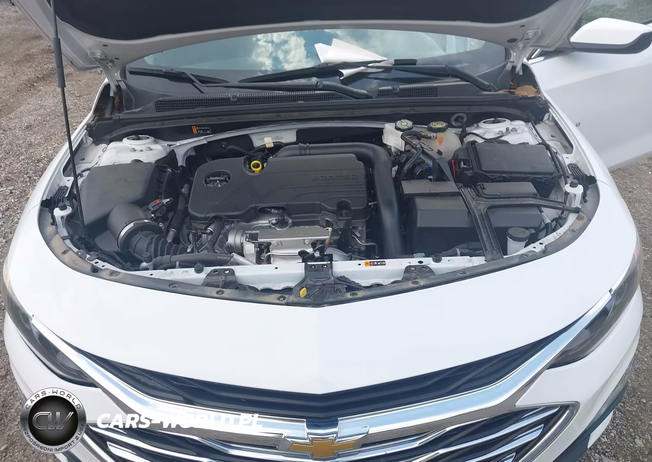 2023 Chevrolet Malibu Fwd 1Lt VIN:1G1ZD5ST1PF234969 - 10