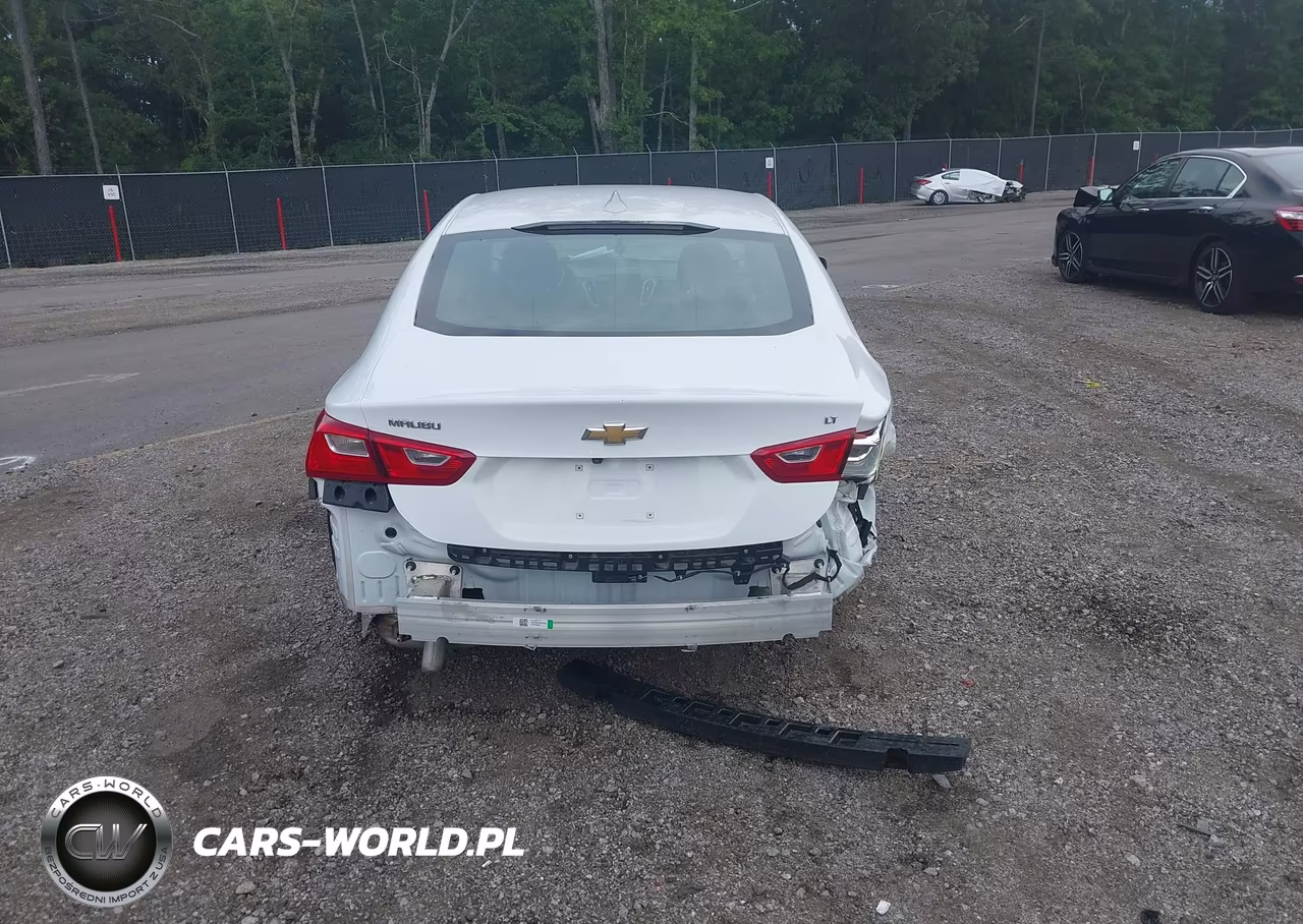 2023 Chevrolet Malibu Fwd 1Lt VIN:1G1ZD5ST1PF234969 - 17