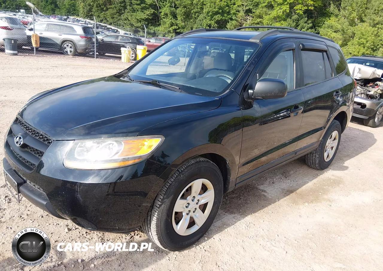 2009 Hyundai Santa Fe Gls VIN:5NMSG73D59H304451 - 2