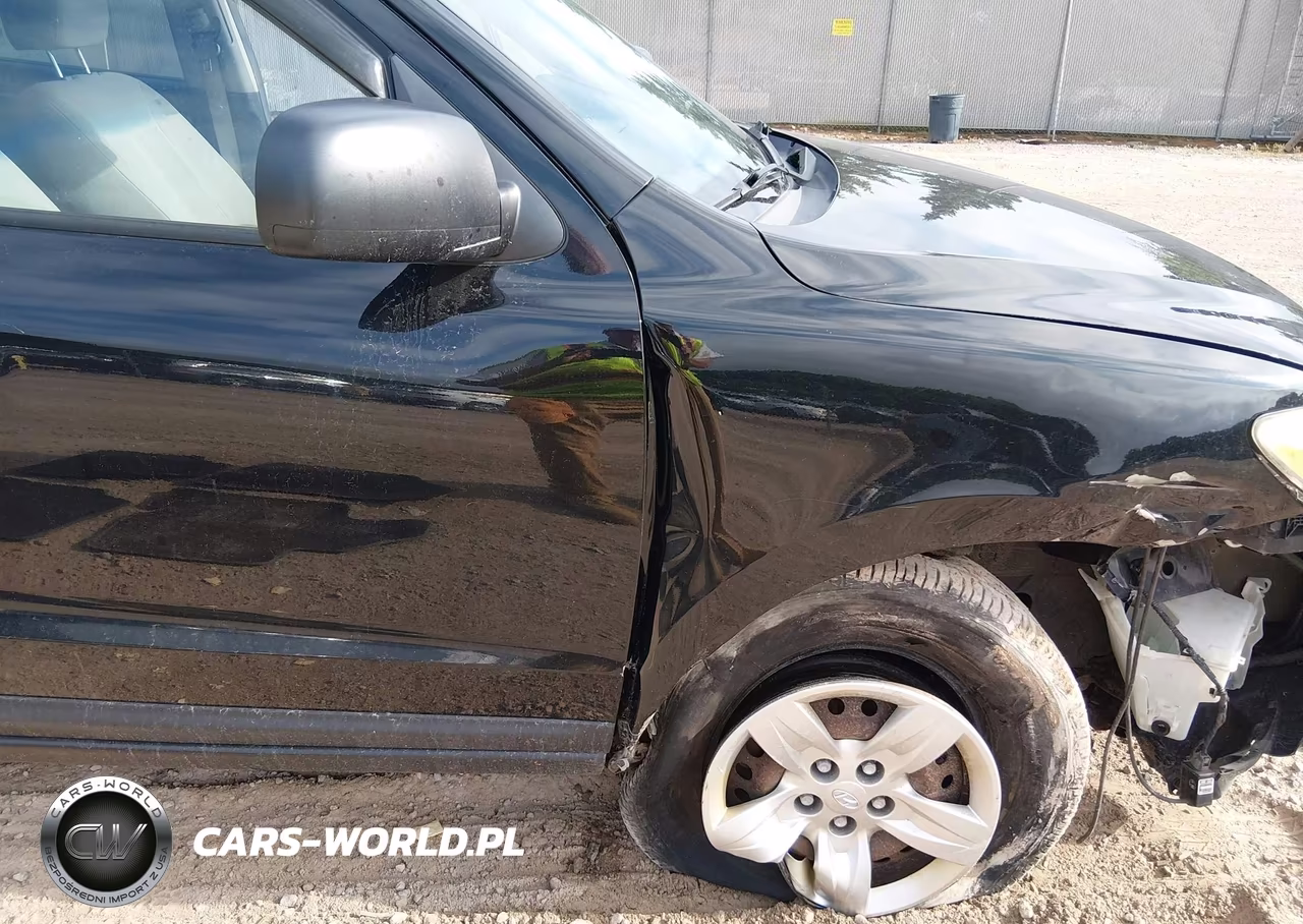 2009 Hyundai Santa Fe Gls VIN:5NMSG73D59H304451 - 6
