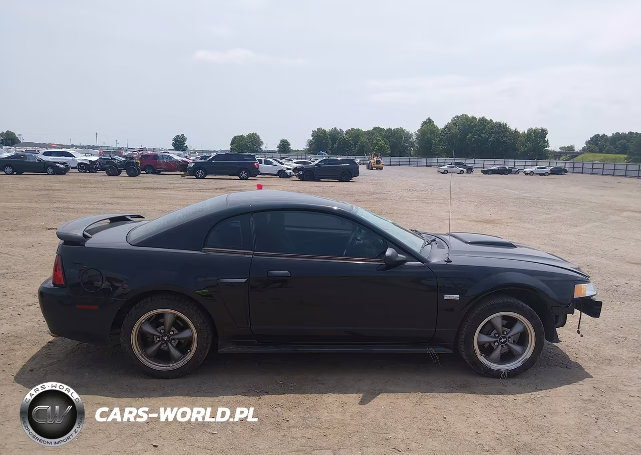 2003 Ford Mustang Gt VIN:1FAFP42X63F432249 - 14