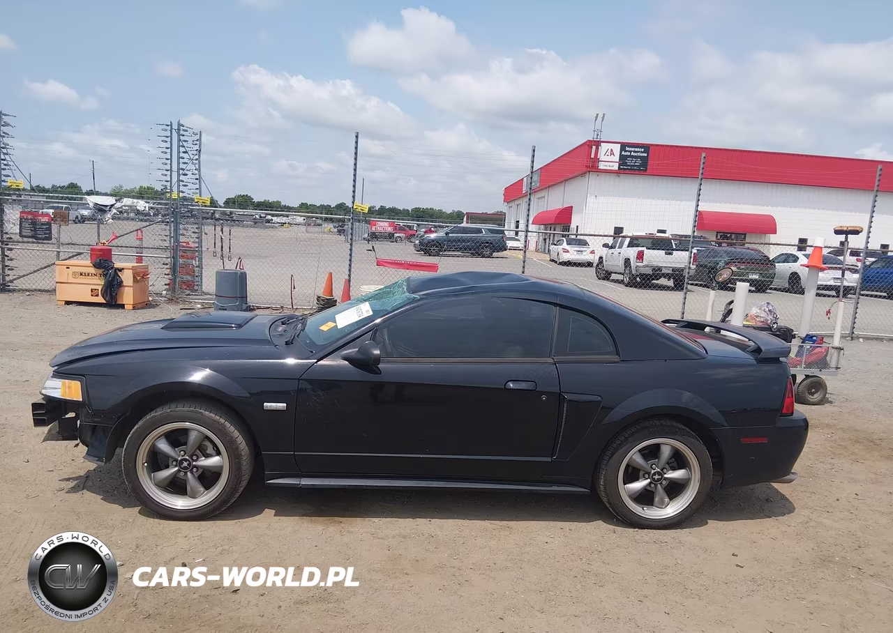 2003 Ford Mustang Gt VIN:1FAFP42X63F432249 - 15