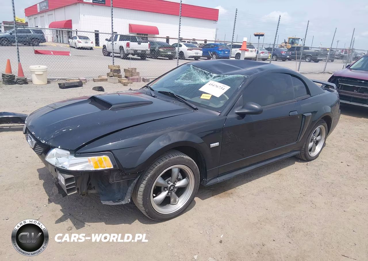 2003 Ford Mustang Gt VIN:1FAFP42X63F432249 - 2