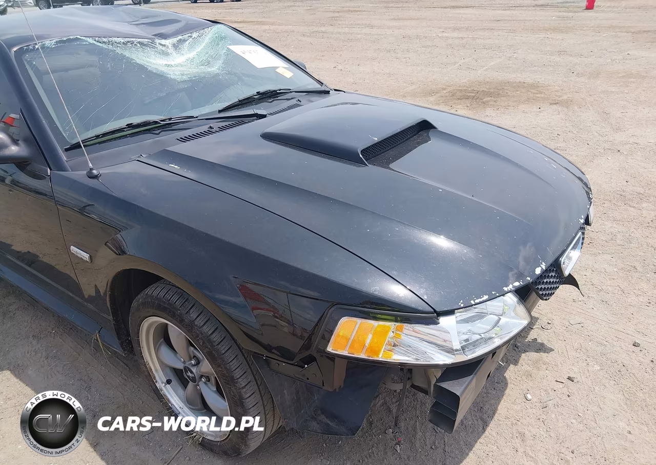 2003 Ford Mustang Gt VIN:1FAFP42X63F432249 - 21