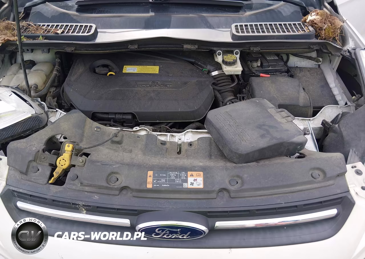 2014 Ford Escape Se VIN:1FMCU0GX9EUA58009 - 10