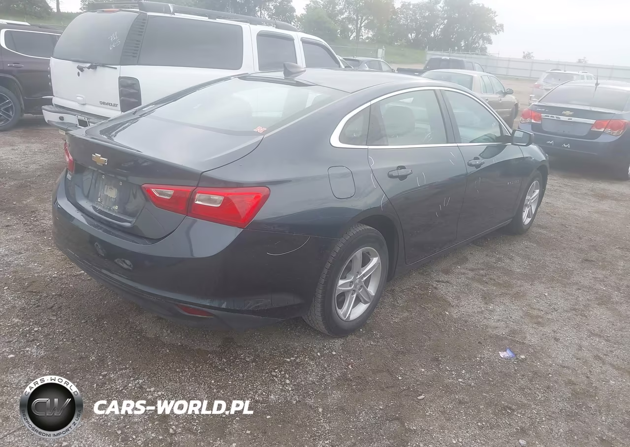 2019 Chevrolet Malibu 1Ls VIN:1G1ZB5ST6KF148667 - 4