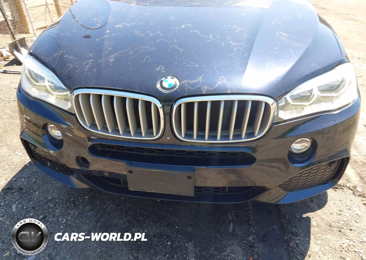 2014 BMW X5 xDrive50I VIN:5UXKR6C57E0J72699 - 12