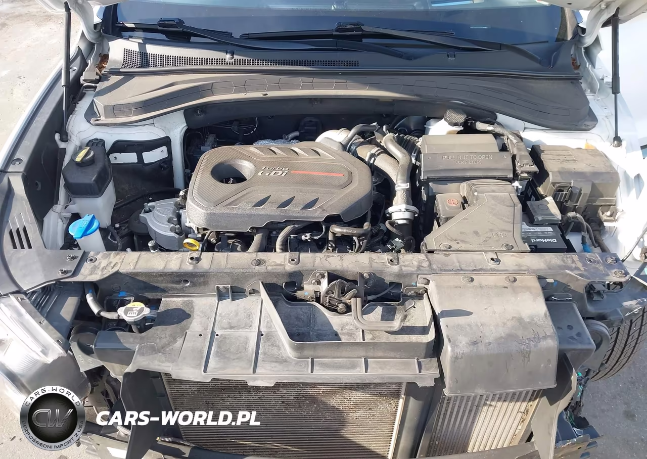 2020 Hyundai Santa Fe Limited 2.0T VIN:5NMS53AAXLH297866 - 10