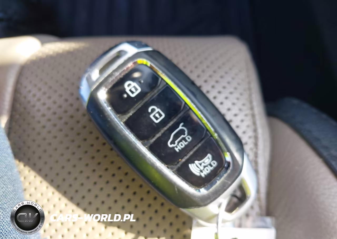 2020 Hyundai Santa Fe Limited 2.0T VIN:5NMS53AAXLH297866 - 11