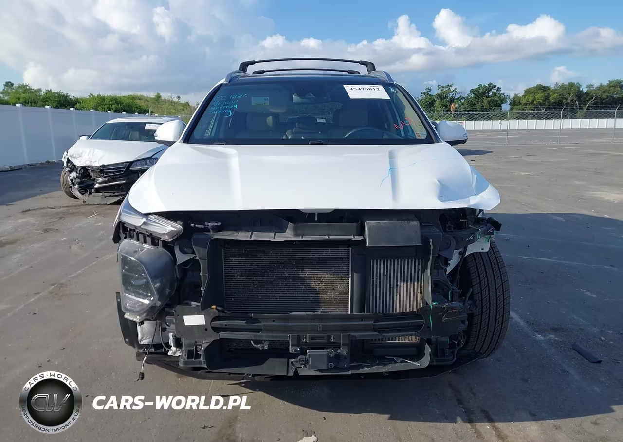 2020 Hyundai Santa Fe Limited 2.0T VIN:5NMS53AAXLH297866 - 13