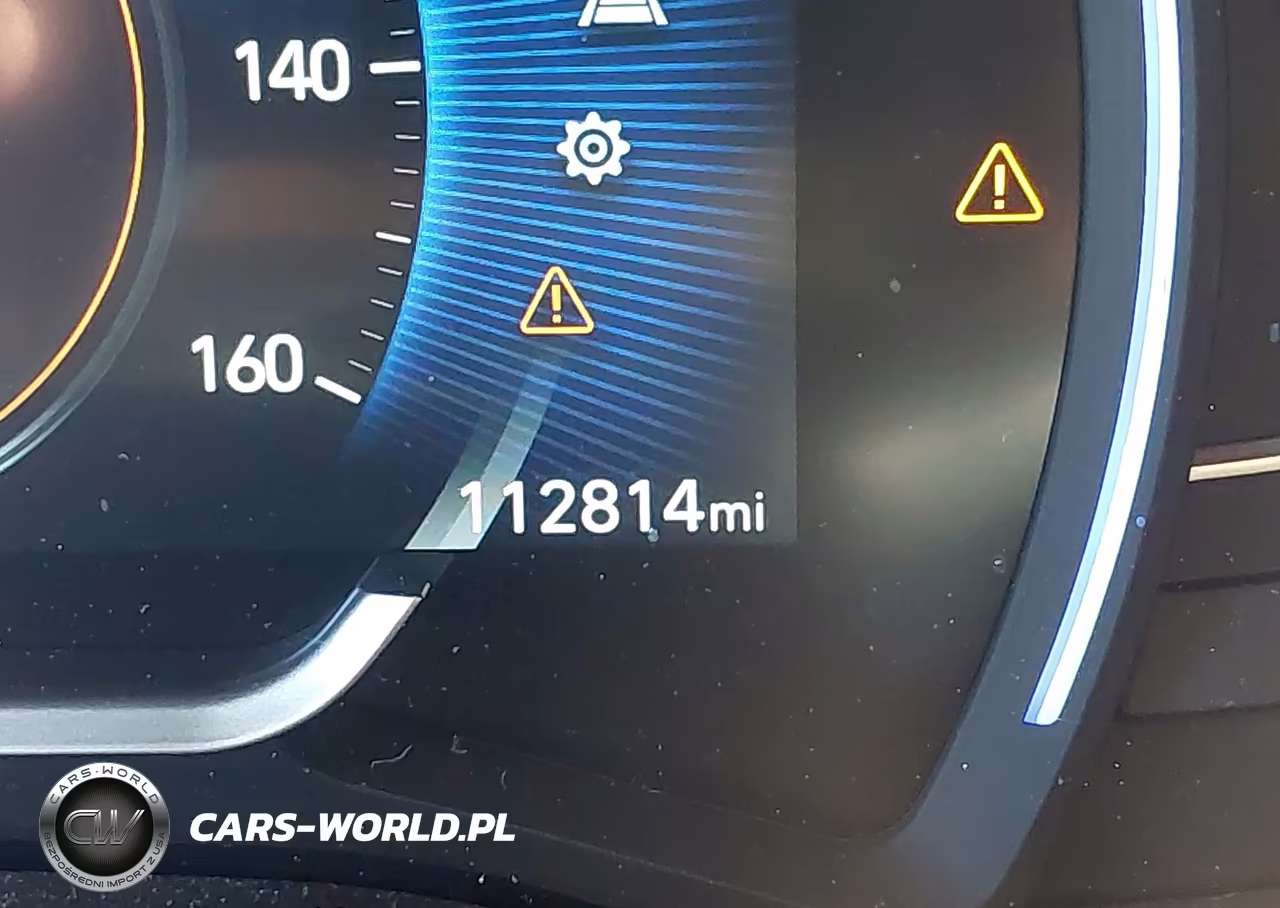2020 Hyundai Santa Fe Limited 2.0T VIN:5NMS53AAXLH297866 - 16