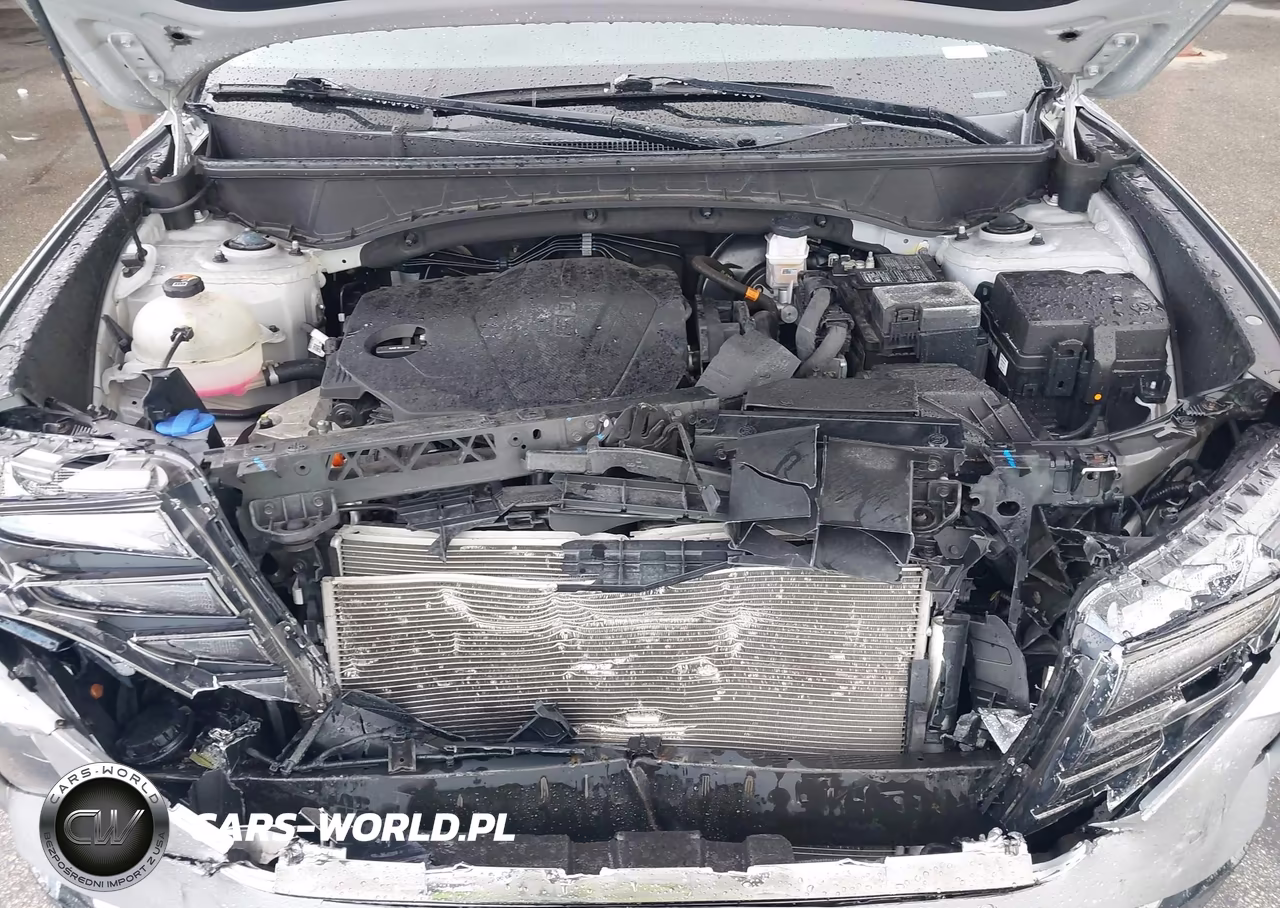 2023 Hyundai Tucson Limited VIN:5NMJECAE4PH189439 - 10