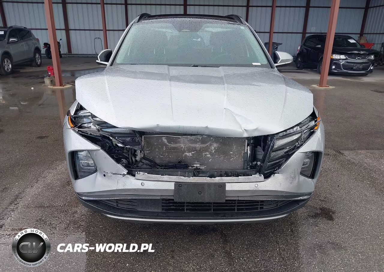 2023 Hyundai Tucson Limited VIN:5NMJECAE4PH189439 - 12