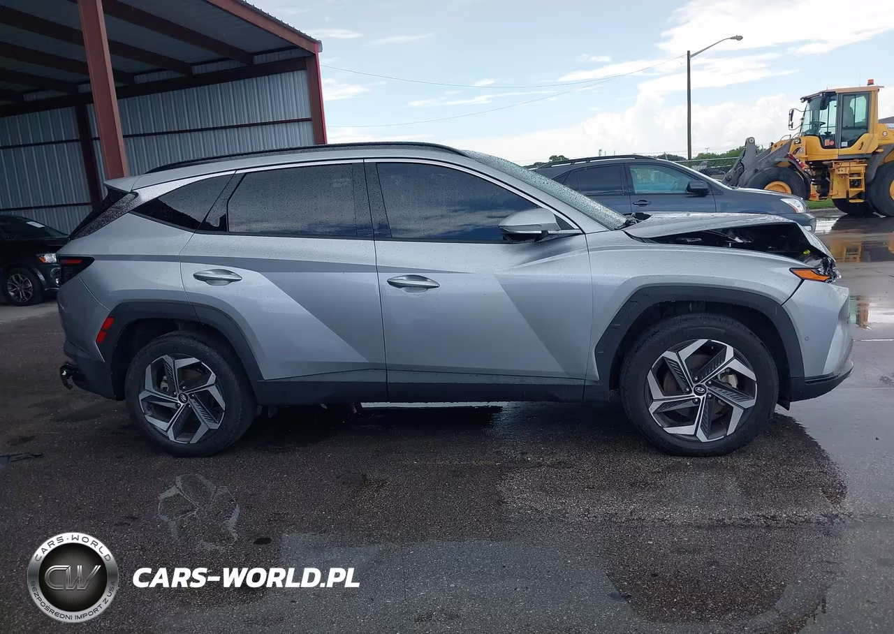 2023 Hyundai Tucson Limited VIN:5NMJECAE4PH189439 - 13