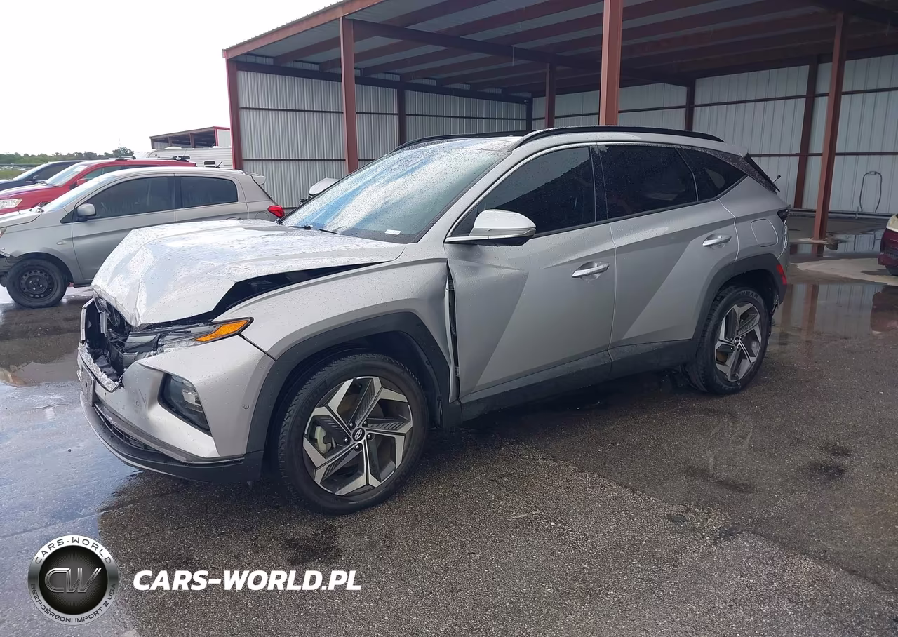 2023 Hyundai Tucson Limited VIN:5NMJECAE4PH189439 - 2