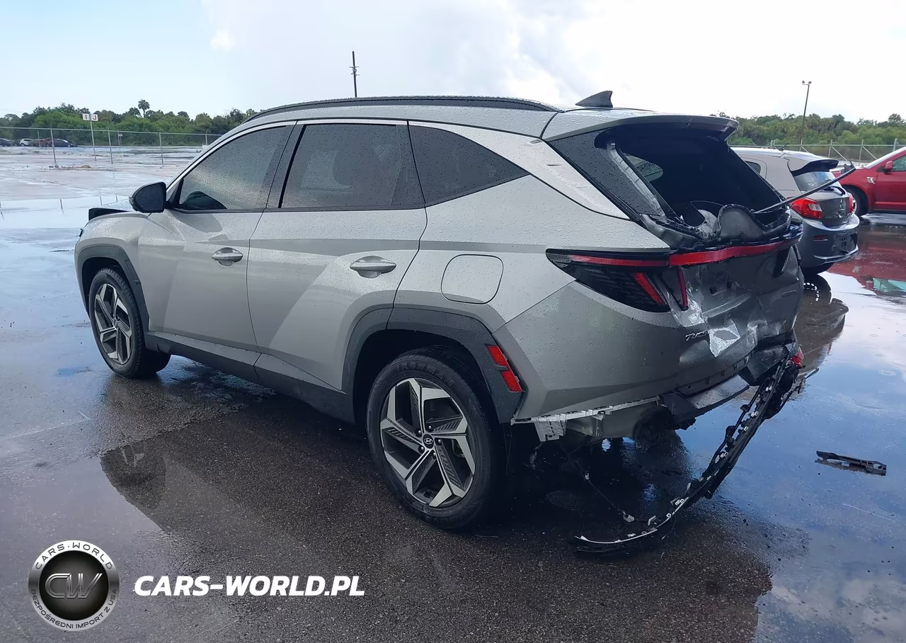 2023 Hyundai Tucson Limited VIN:5NMJECAE4PH189439 - 3