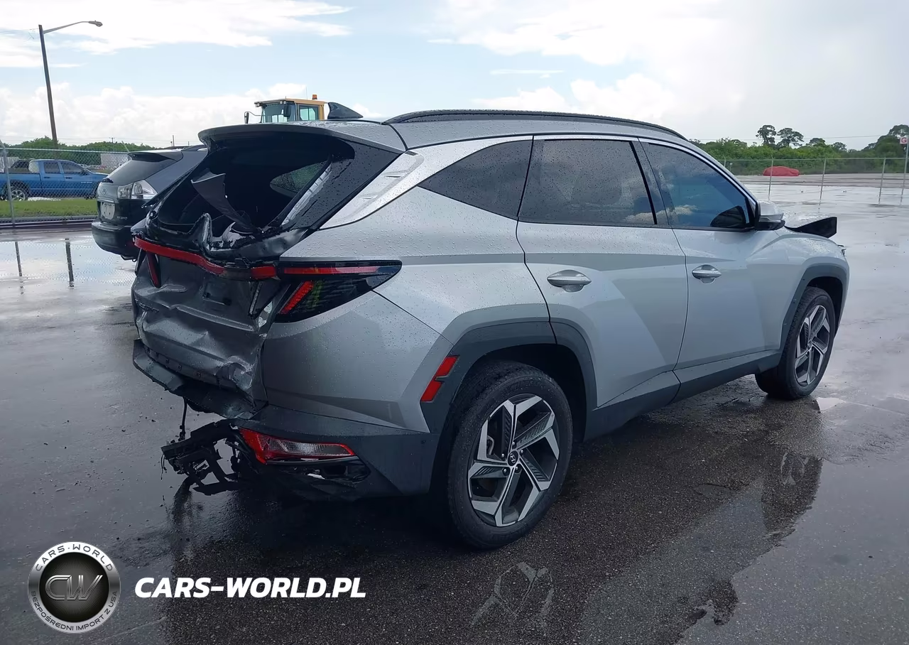 2023 Hyundai Tucson Limited VIN:5NMJECAE4PH189439 - 4
